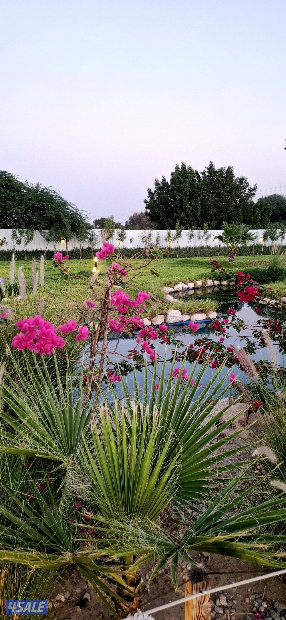 مزرعه AFARM فى الوفره طريق 30011