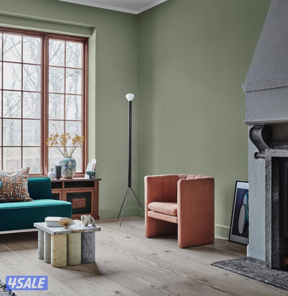 اصباغ باکستانى2