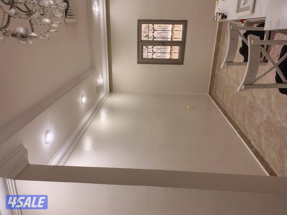 اصباغ باکستانى5