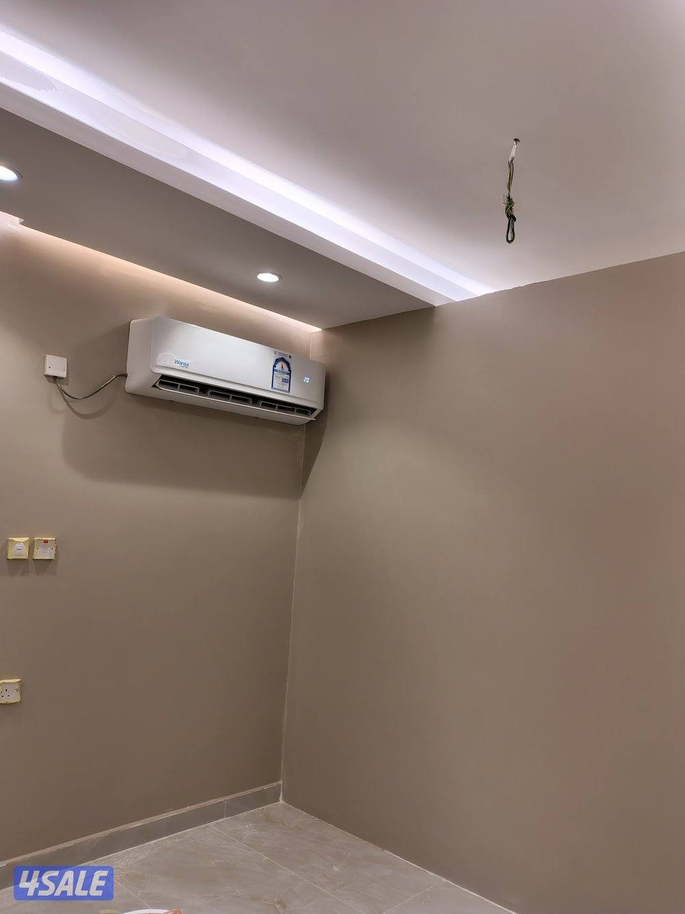 اصباغ باکستانى6