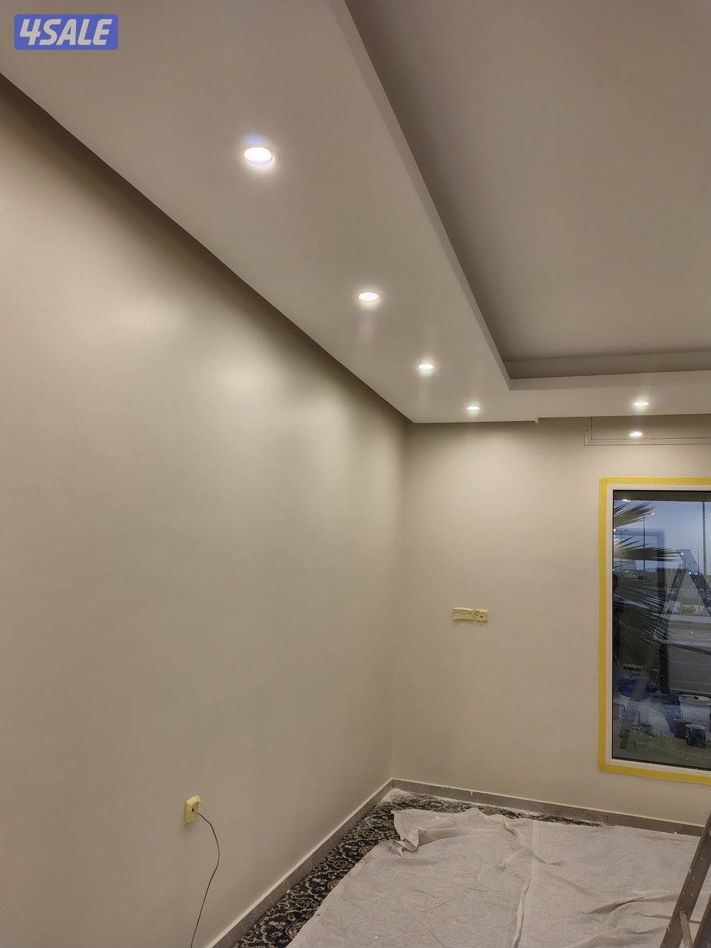 اصباغ باکستانى9