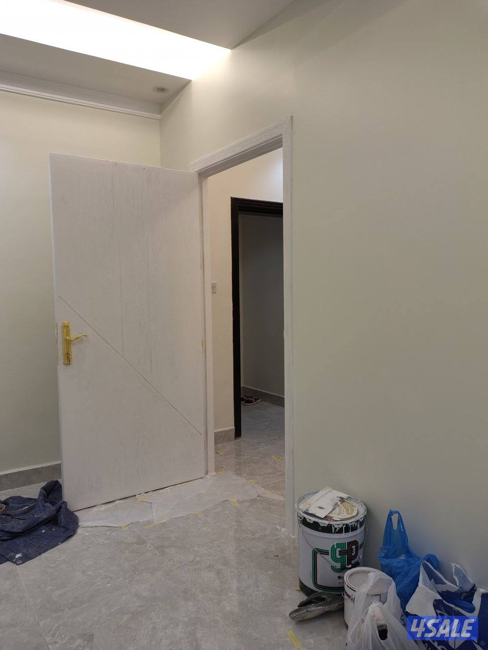 اصباغ باکستانى10