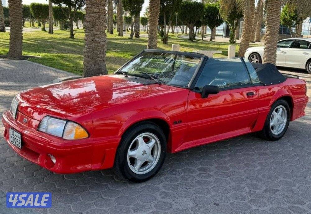 سيرفس حديث كامل6