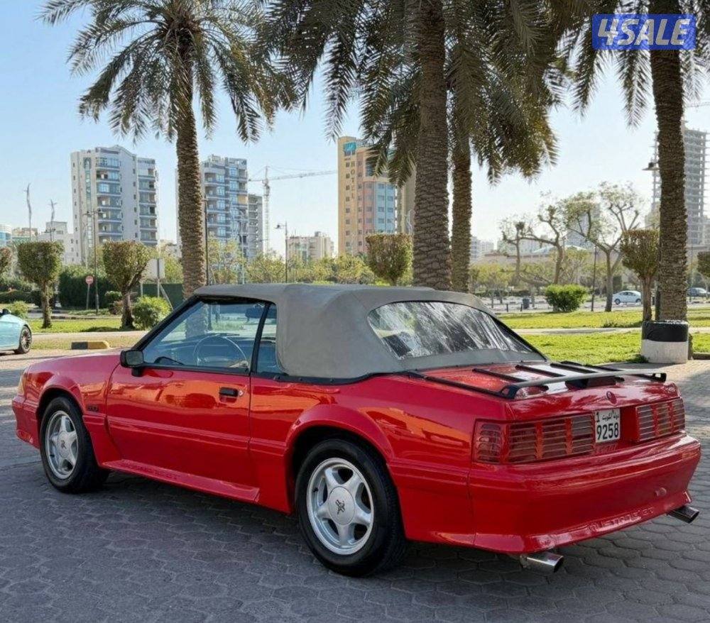 سيرفس حديث كامل8