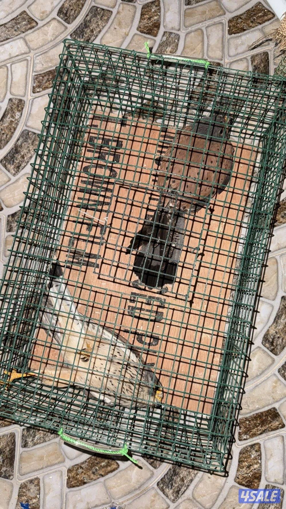 للبيع ترمة0