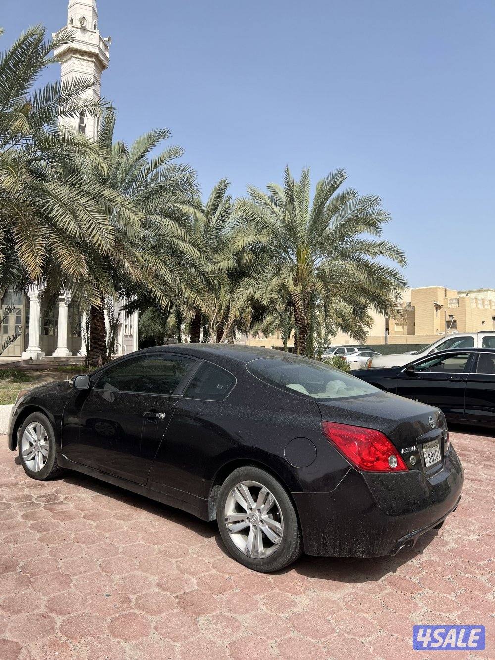 للبيع التيما سبورت0