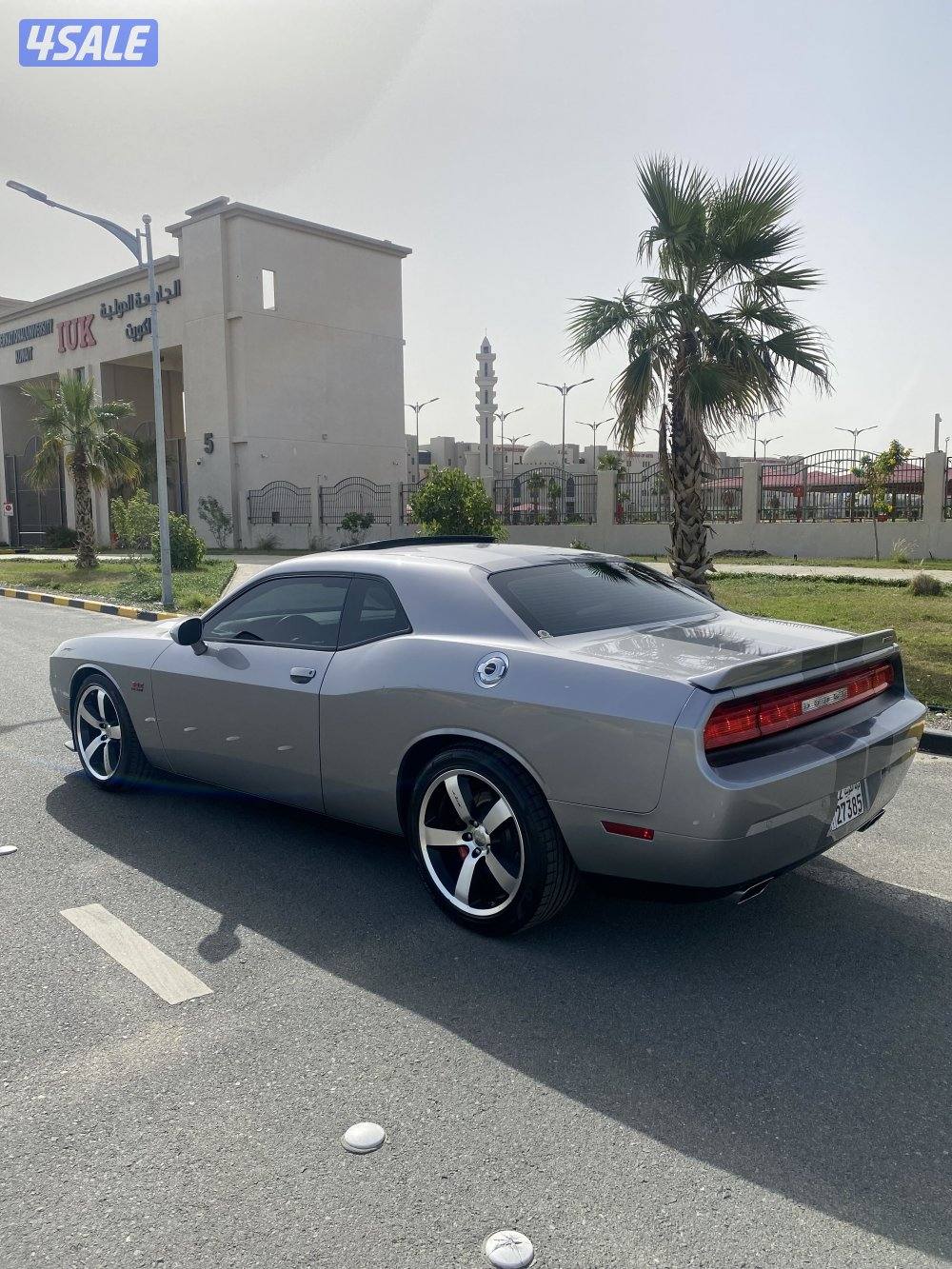 صبغ الوكالة _ عداد 47 _ قير عادي5