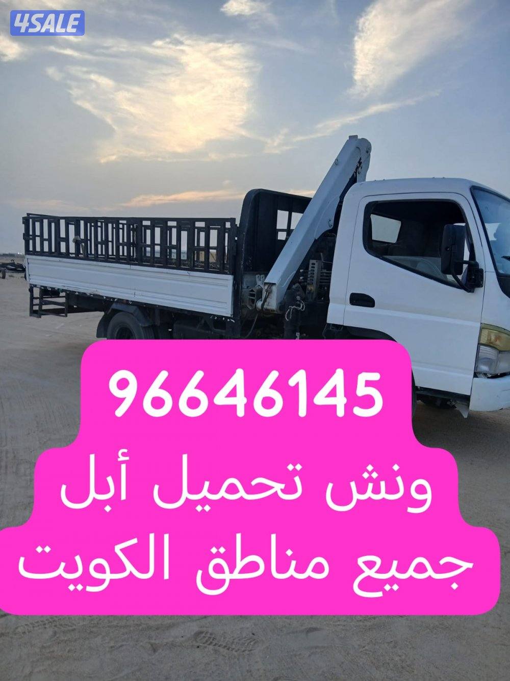 ونش تحميل الإبل ونشتري حشو0