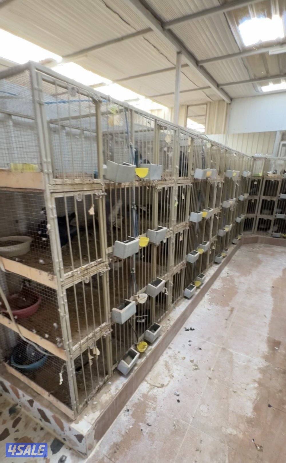 للبيع خانات تزريق0