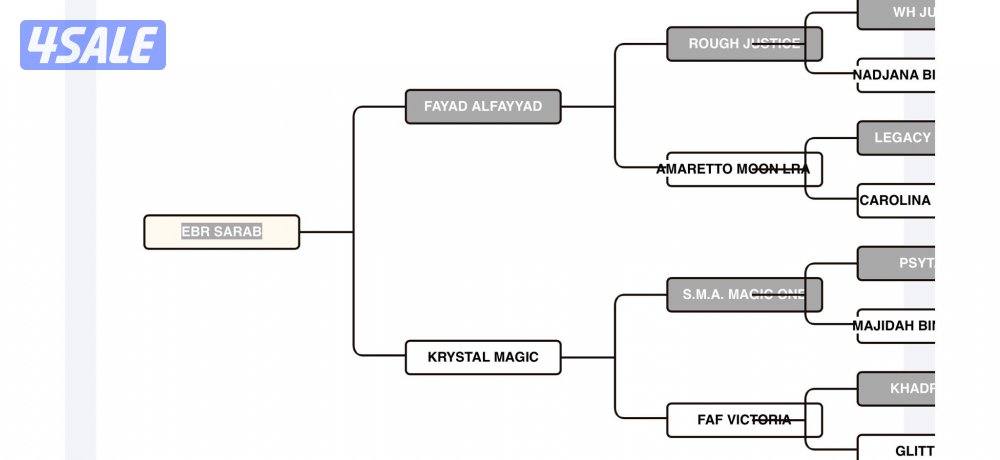 ‏للبيع حصان بولش3