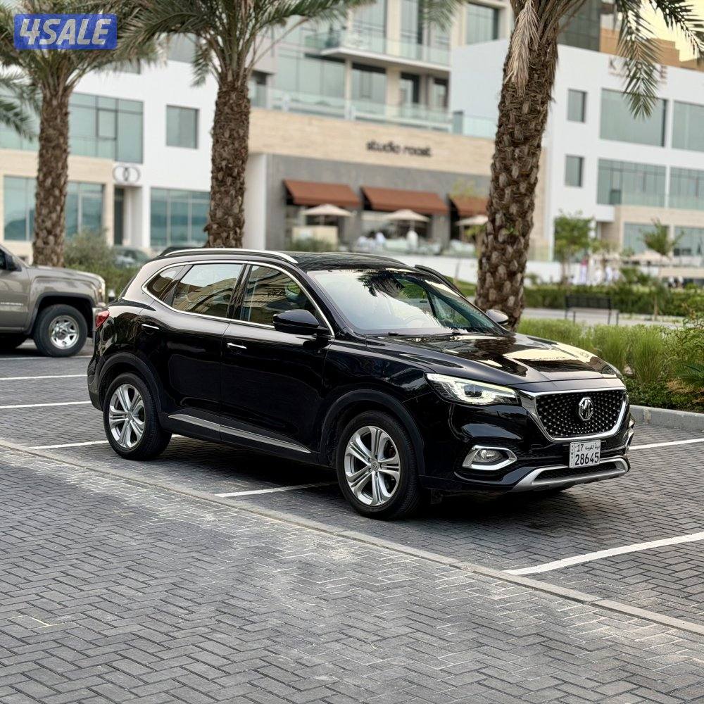 اام جي HS 2020 ماشي 60 الف سيرڤس منتظم بالوكالة - صبغ الوكالة0