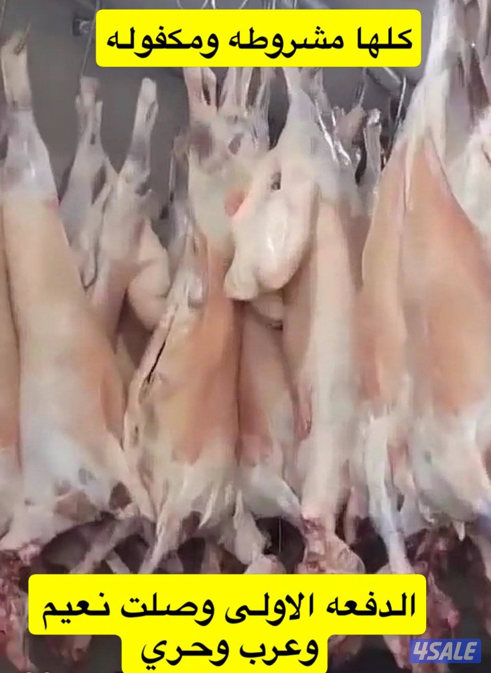 الوفره قطعه١شارع13