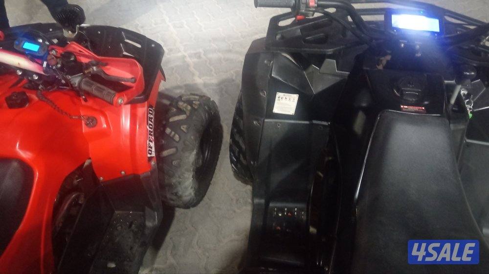 شغالين ممتازين3