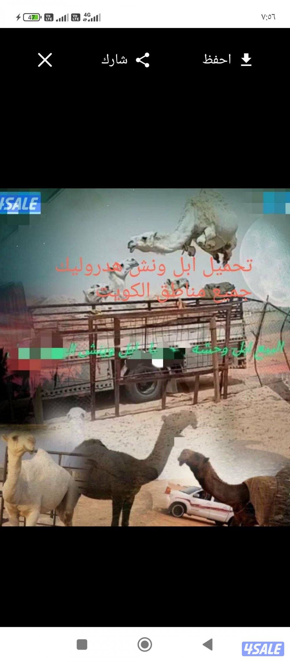 نشتري ابل وحشو تحميل ابل ونش هدروليك جميع مناطق الكويت0