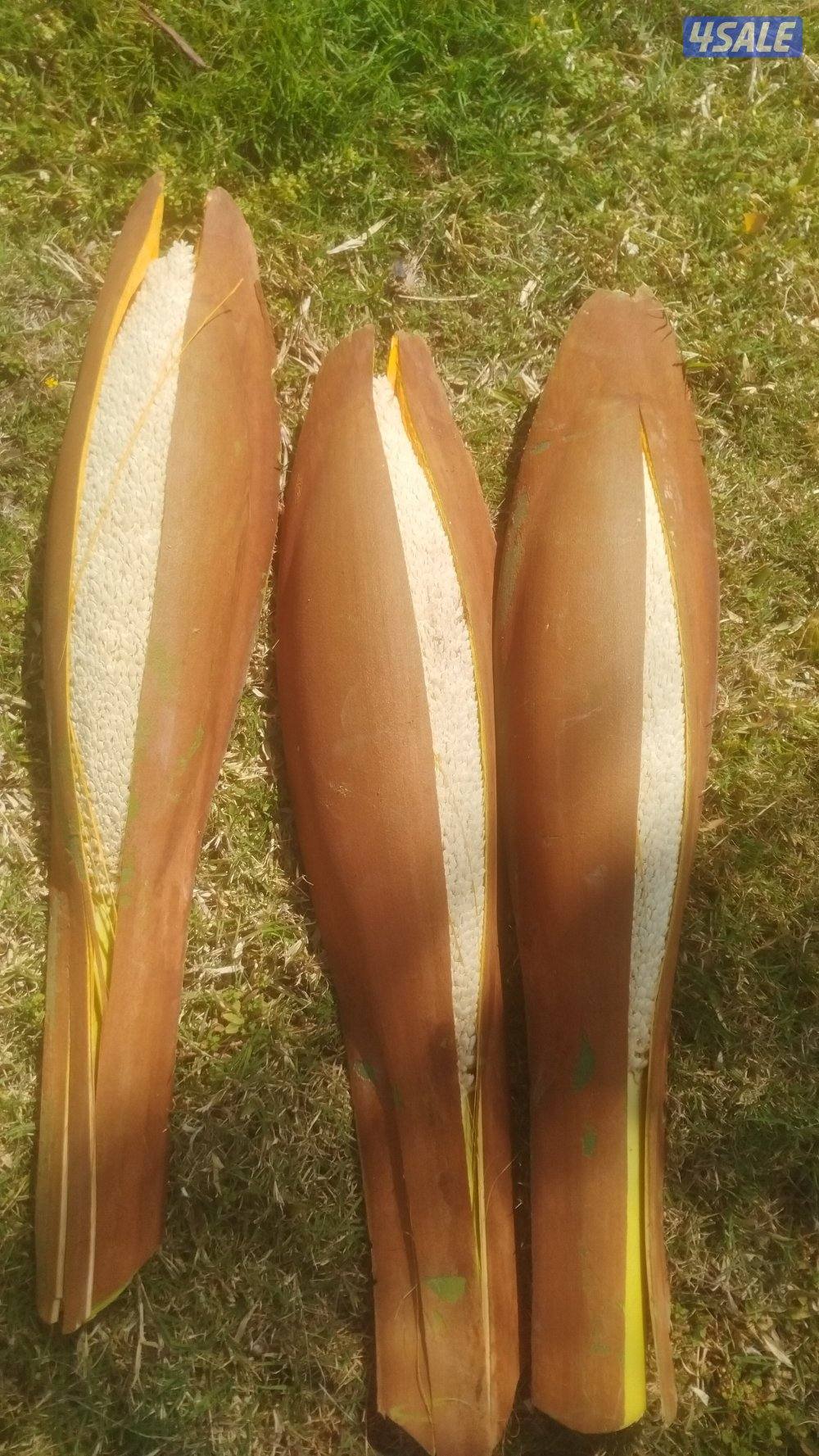 تنسيق حدائق وتلقيح وتنظيف وتكريب نخيل1