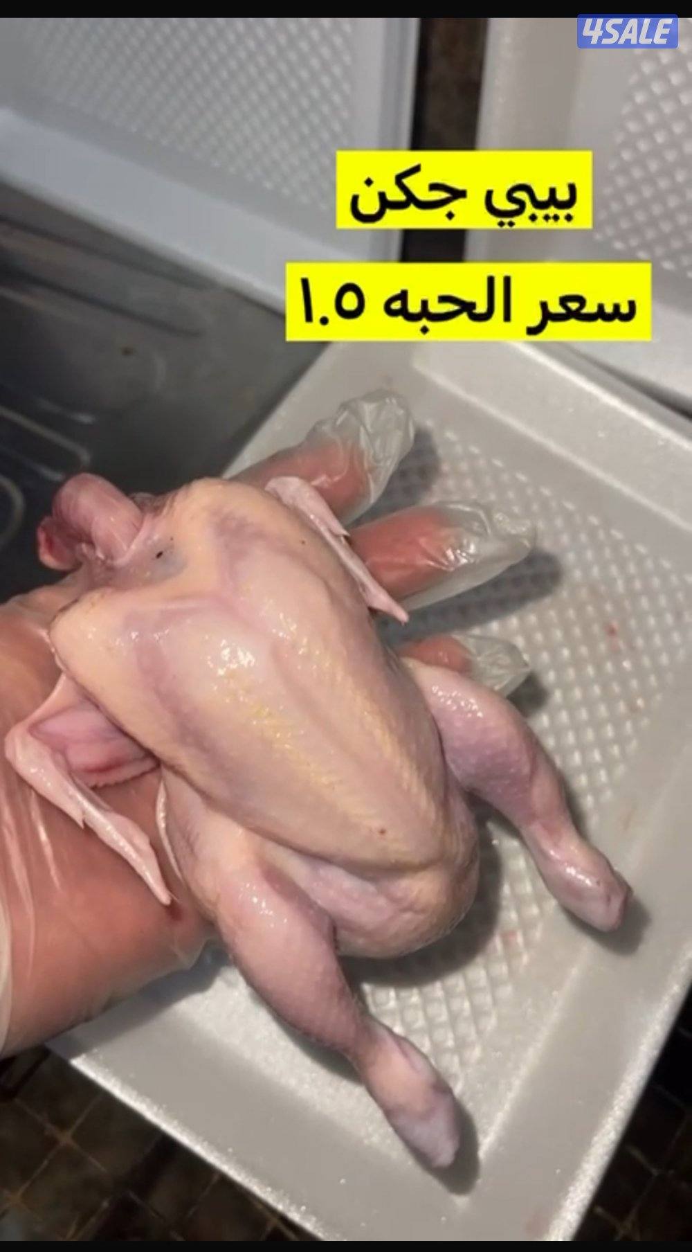 زاجلنا فروخ حمام و بط فرنسي ديج بلدي مذبوح ومنظف وجاهز يوجد توصيل5