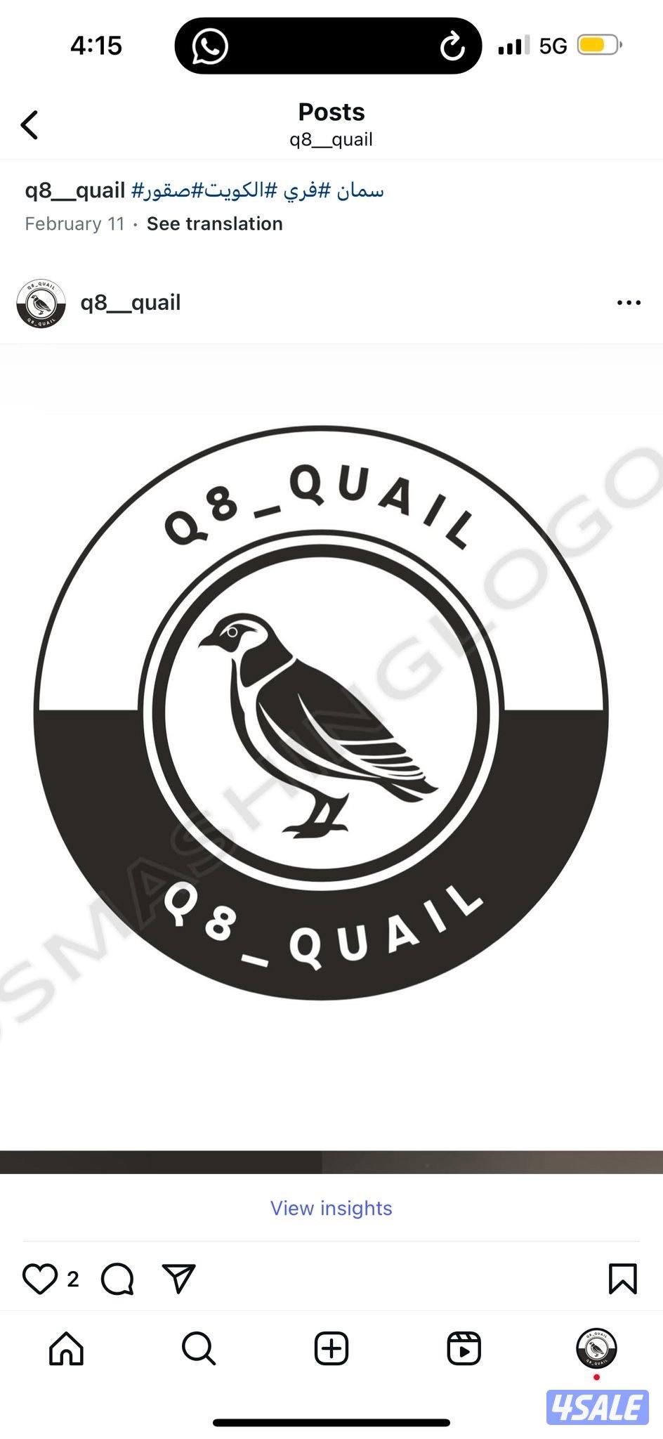 بيض فري و صيصان فري وفري كبار2