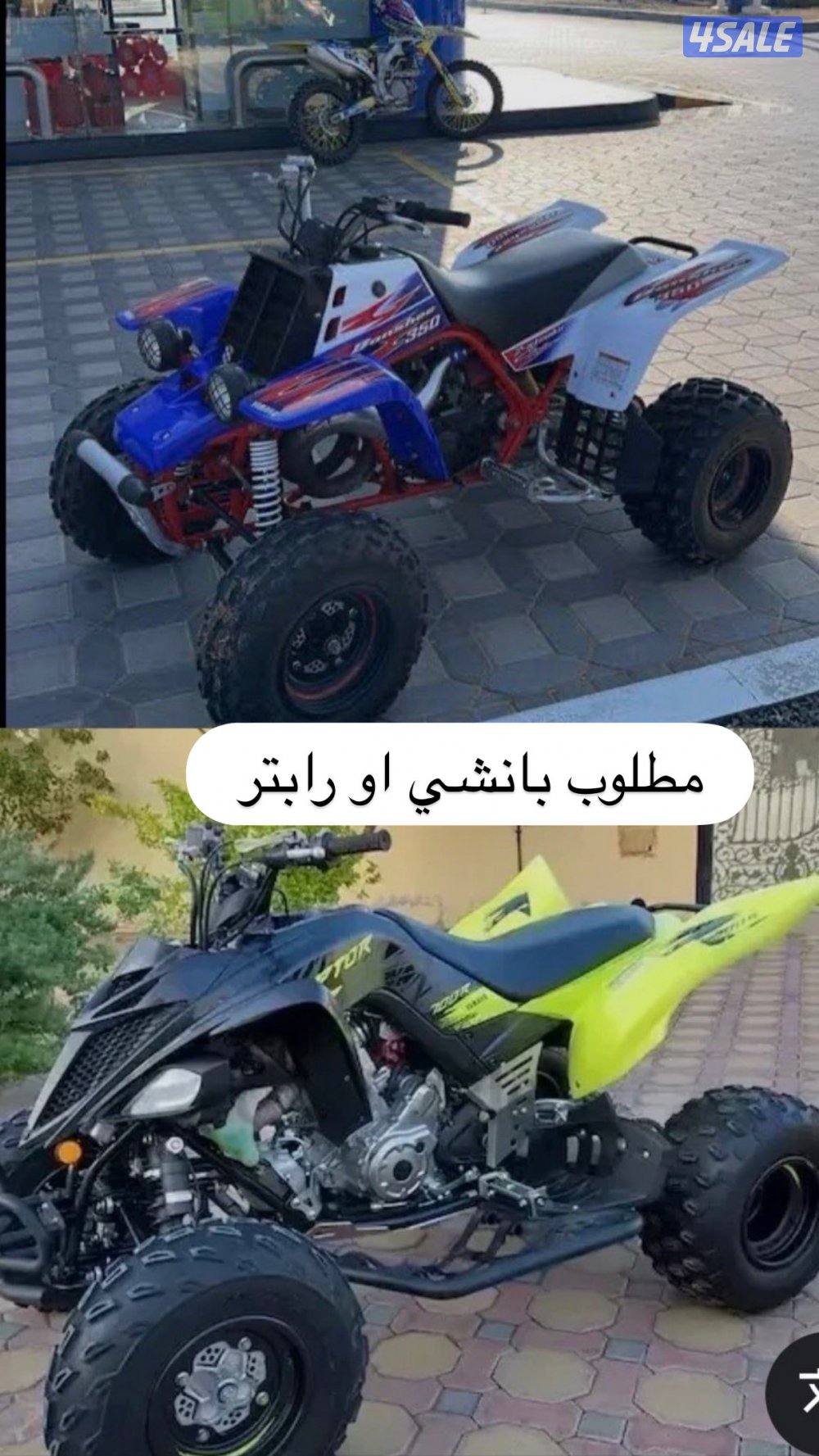 مطلوب بانشي او رابتر0