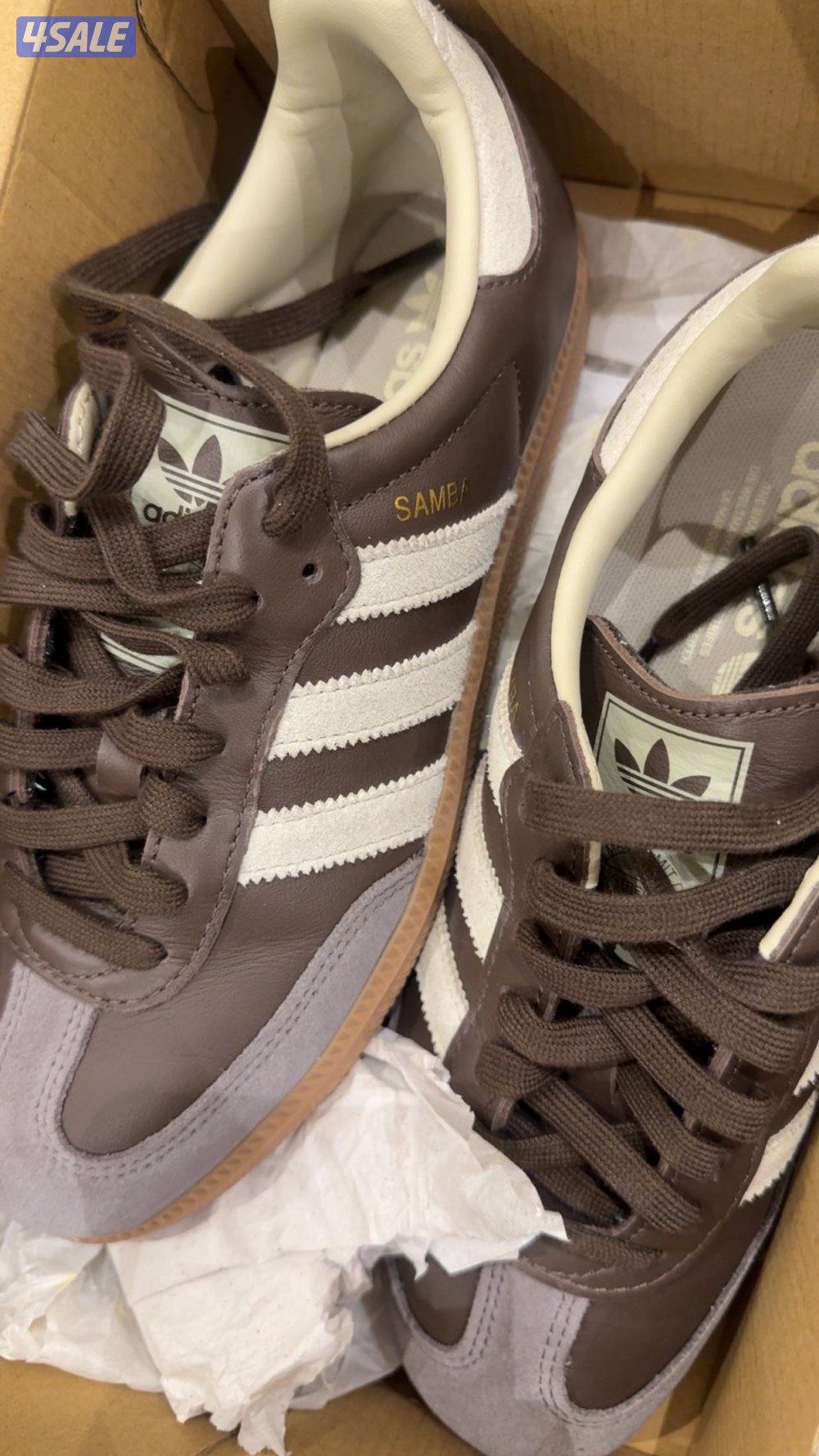 جوتي سامبا1