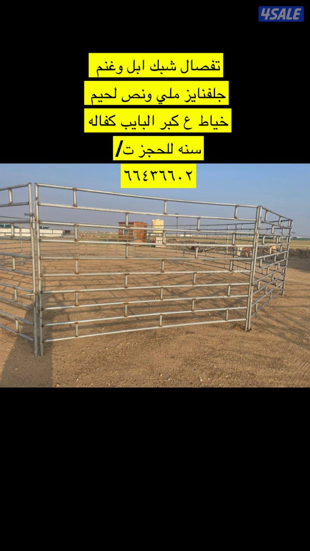 المطلاع تفصال شبك ابل وغنم وخيل جلفنايز0