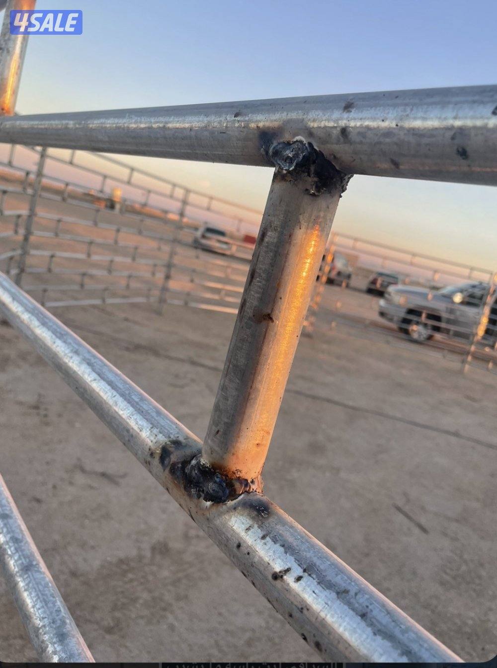 المطلاع تفصال شبك ابل وغنم وخيل جلفنايز2