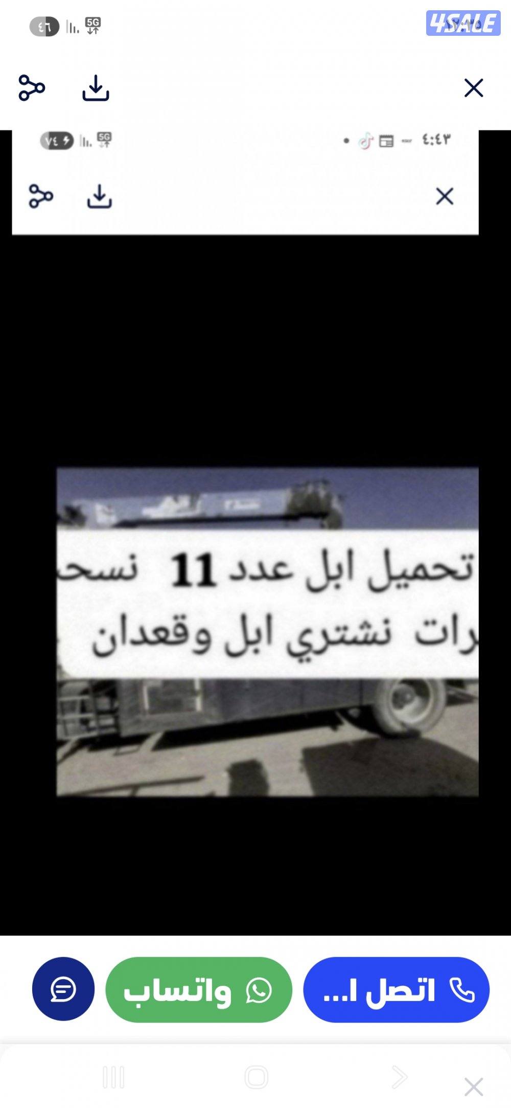 نشتري ابل وحشوونش تحمل بل العدد 120