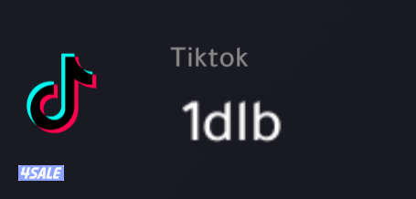 وفرنا لك يوزرات تيك توك مميزة رباعي رباعي مكرر شبه ثلاثي وصف مهم13