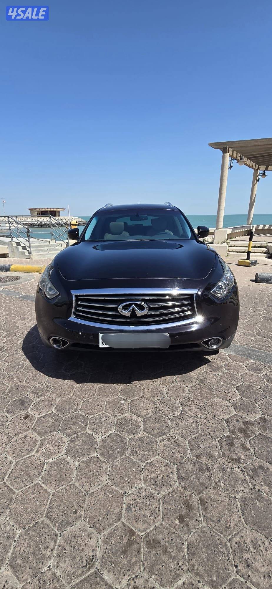 2012 قمة في النظافة1