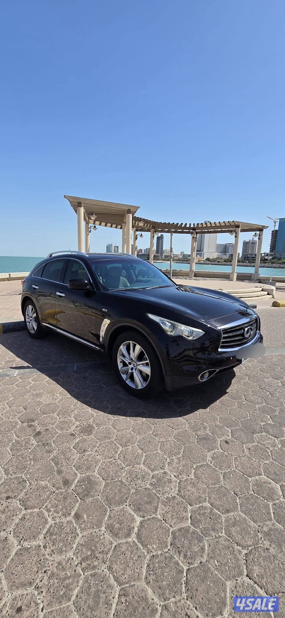 2012 قمة في النظافة3