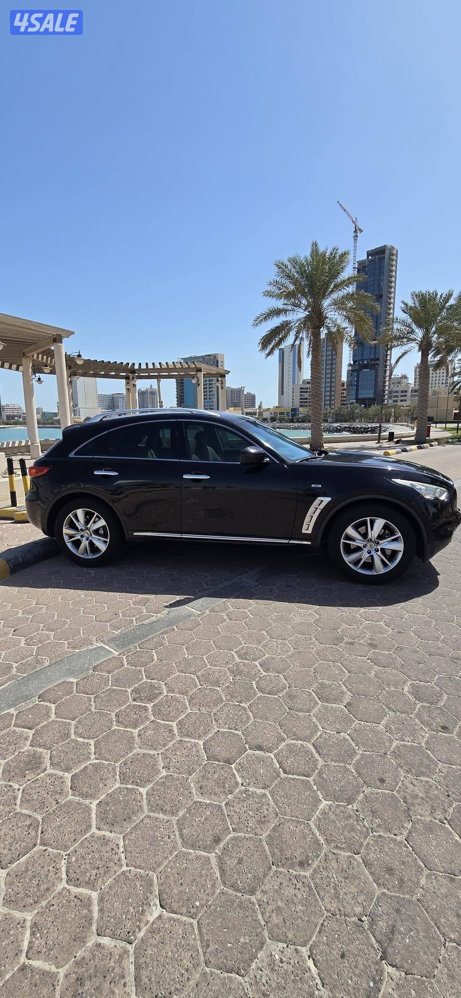 2012 قمة في النظافة4