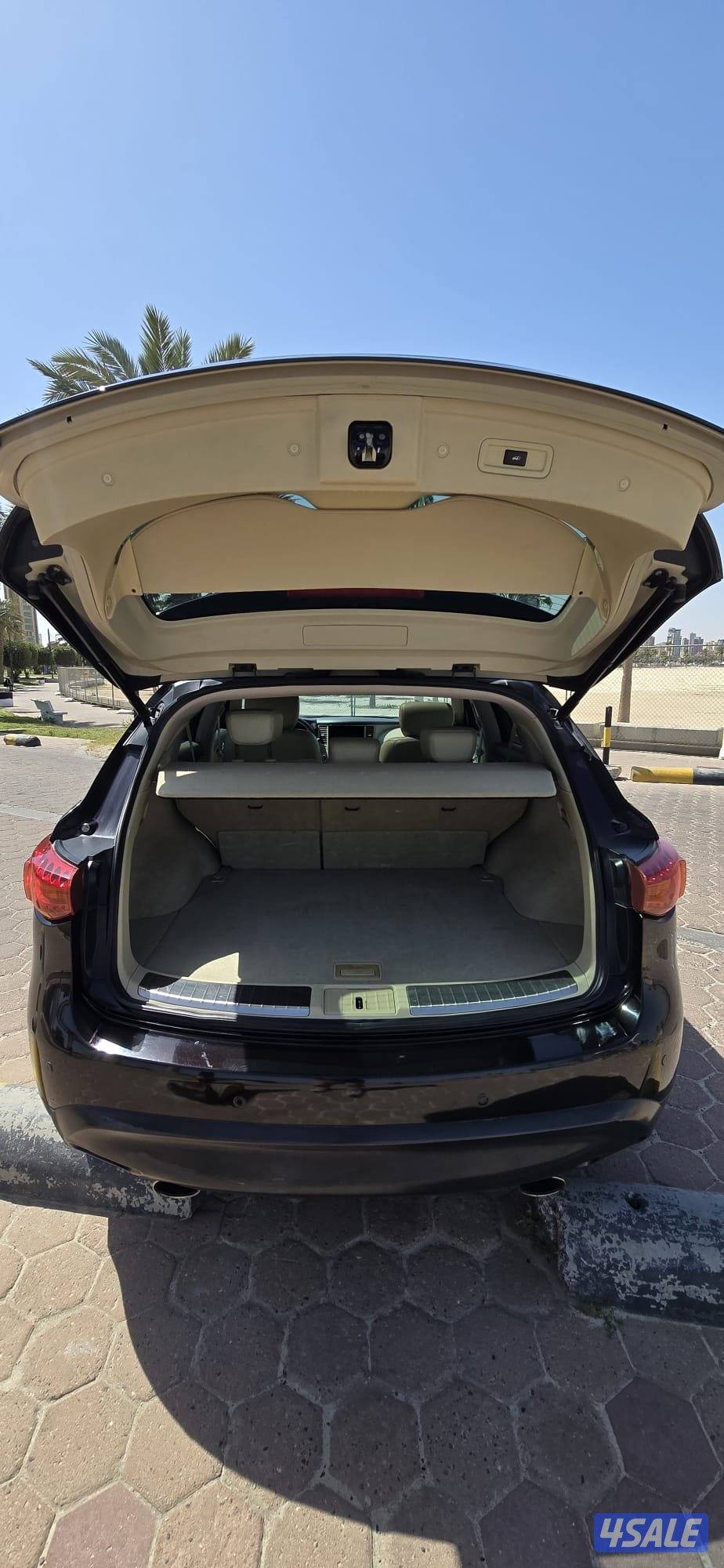 2012 قمة في النظافة8