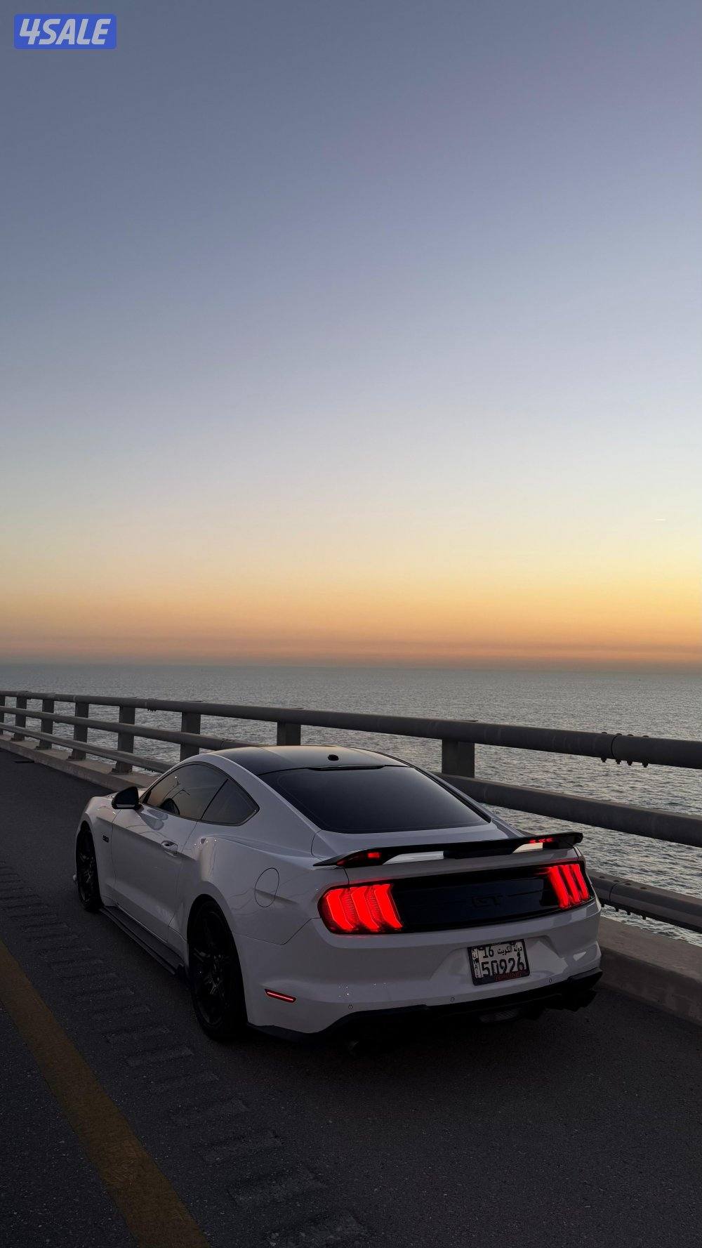 موستنق ٢٠١٨1