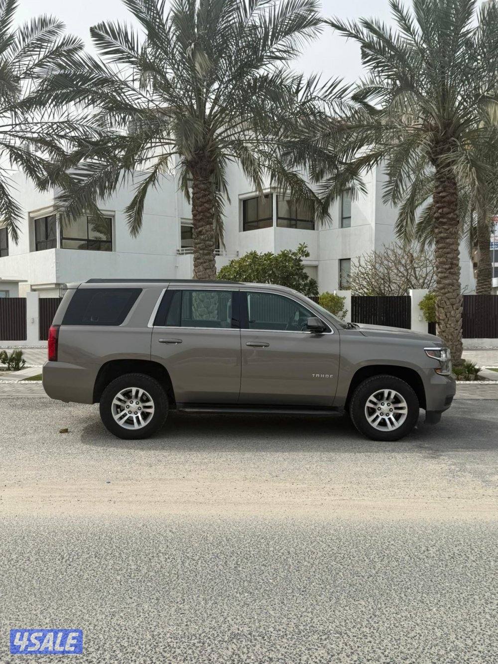 الجادين فقط1