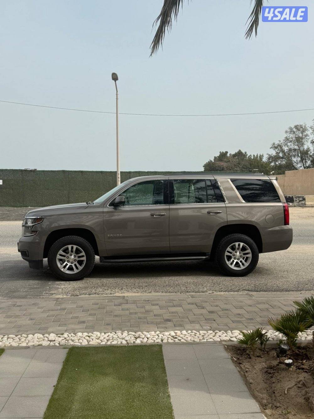 الجادين فقط3