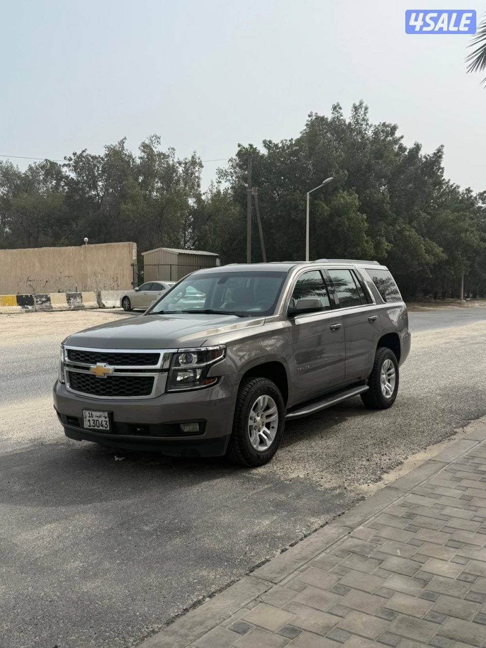 الجادين فقط6