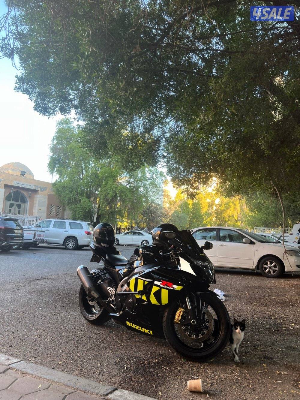 GSX-R, ساراد ٢٠١٣.2