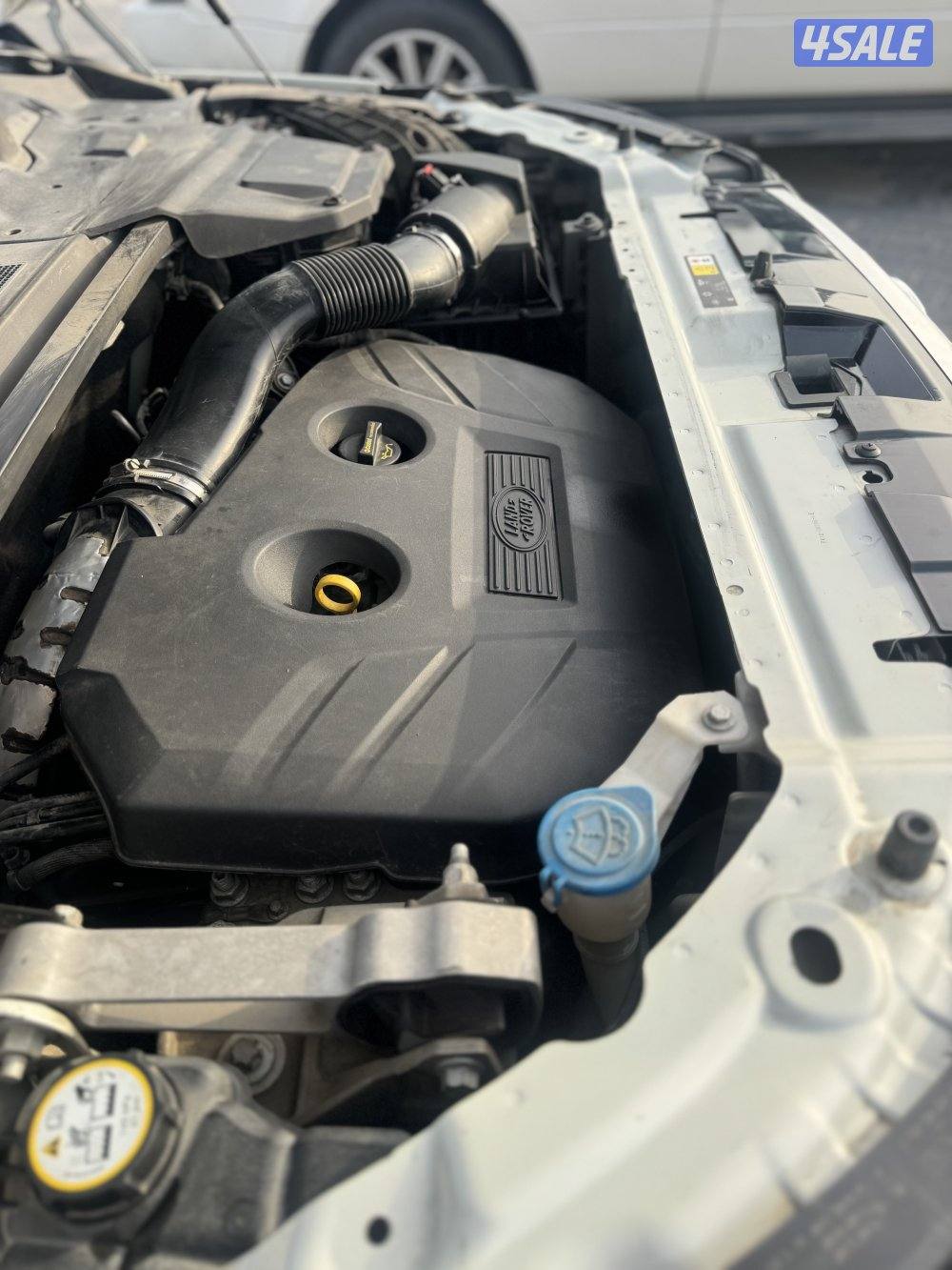 دسكفري سبورت -20167