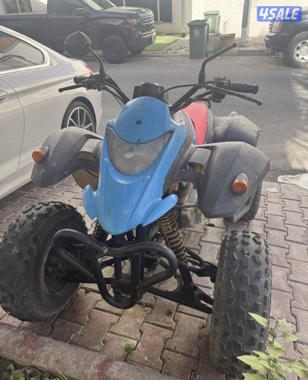 بقي سزوكي تايواني0