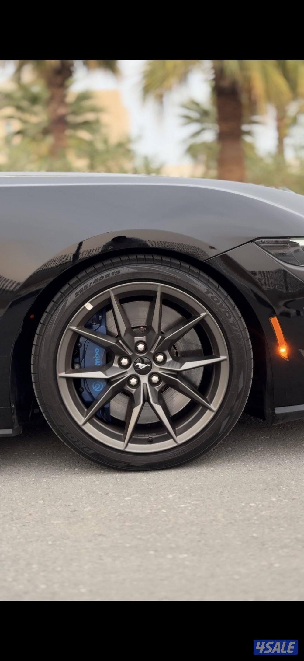 للبيع موستنق دارك هورس موديل  20247