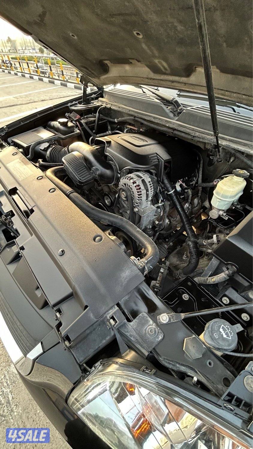 وارد الوكالة (بهبهاني)8