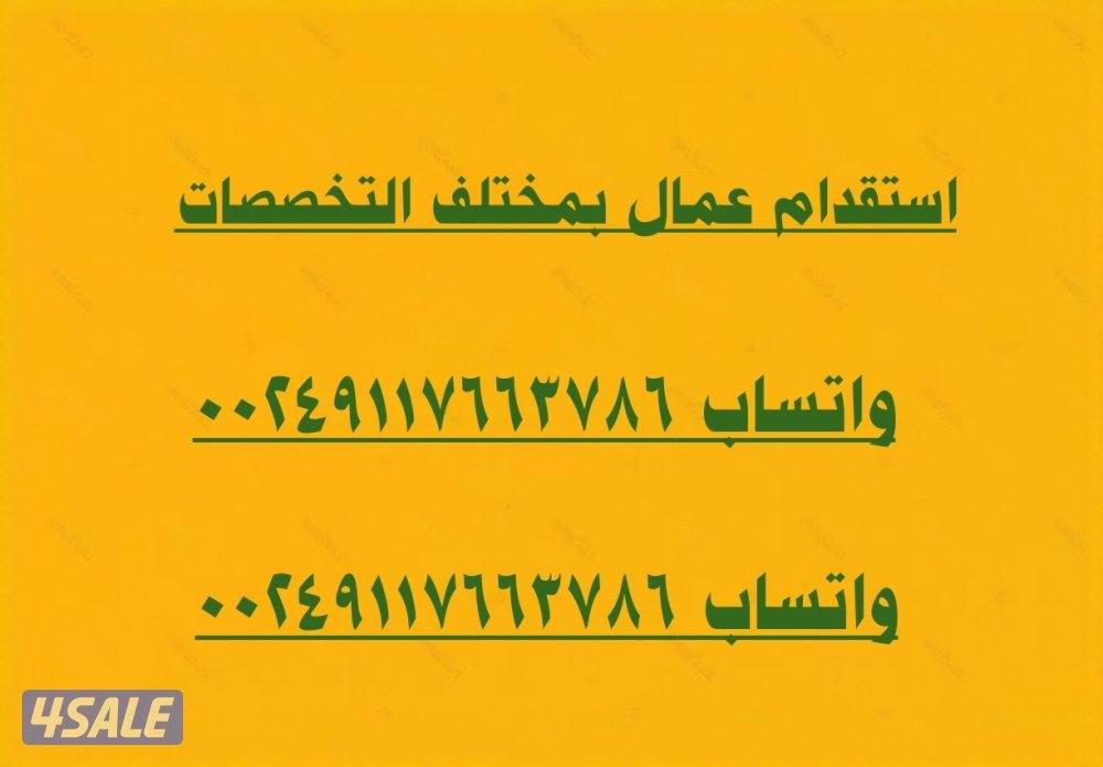 استقدام عمال بمختلف التخصصات1