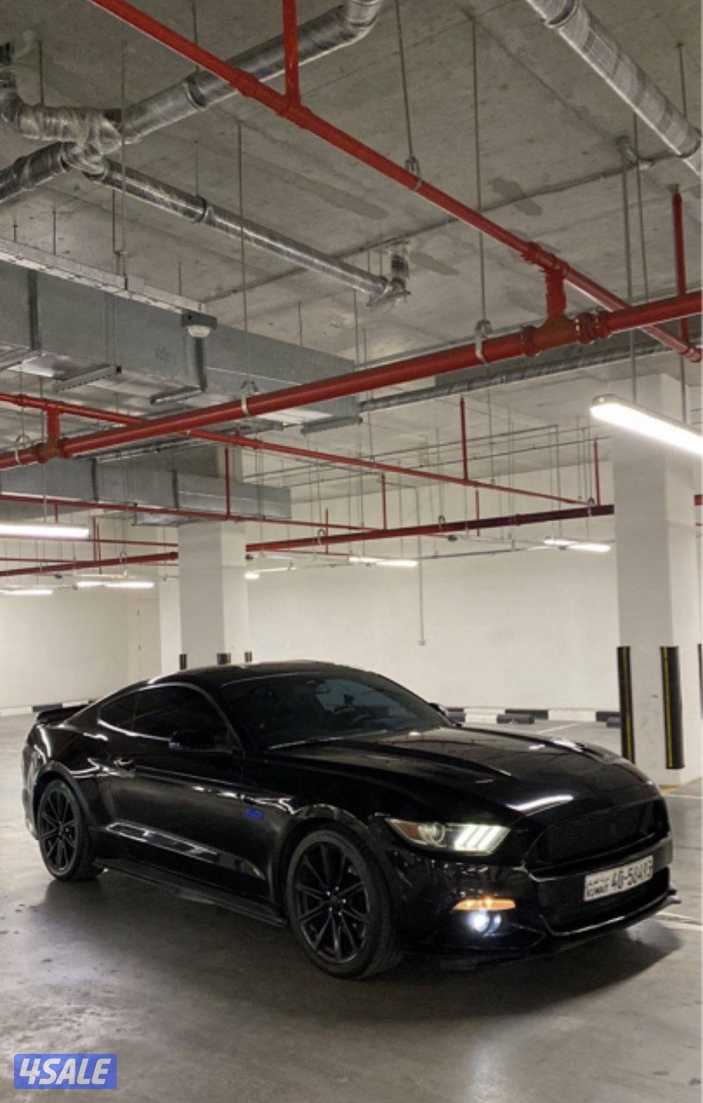 موستنق 2015 ستوك قير عادي شرط الفحص قير مكينه6