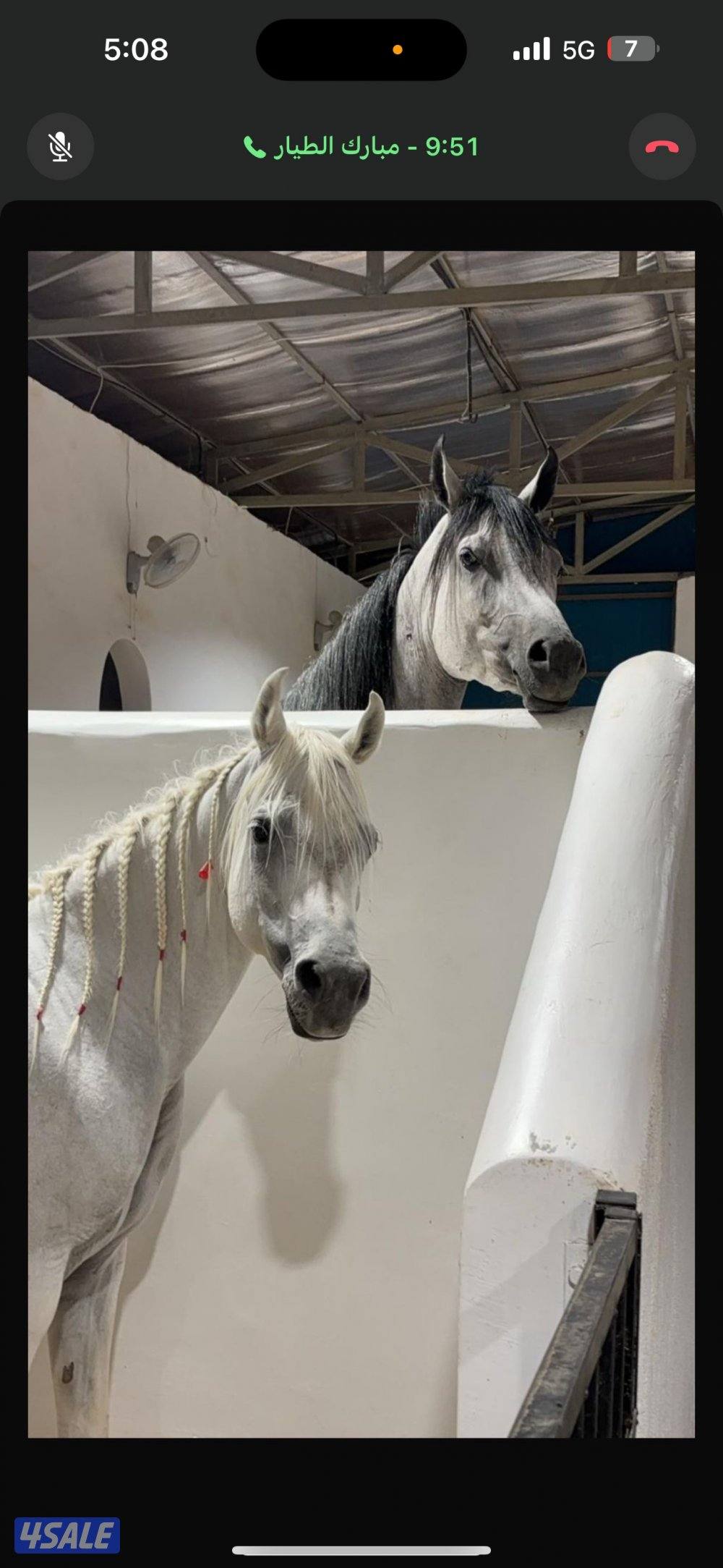 مربط قريب جدا للوفره السكنيه0