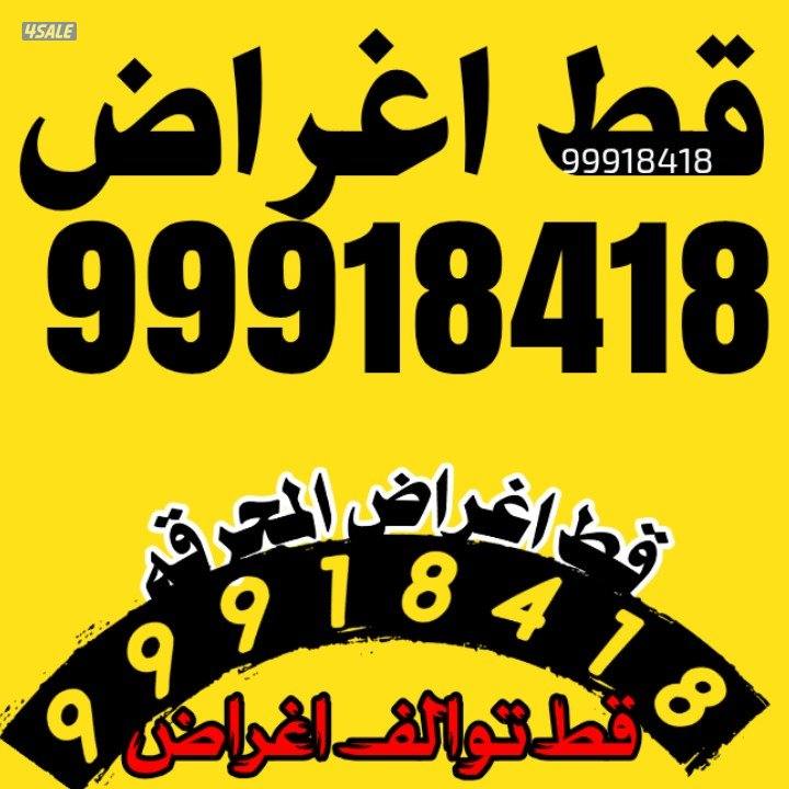 قط@اغراض@قط@اغراض@قط@اغراض@هافلوري@قط@اغراض2