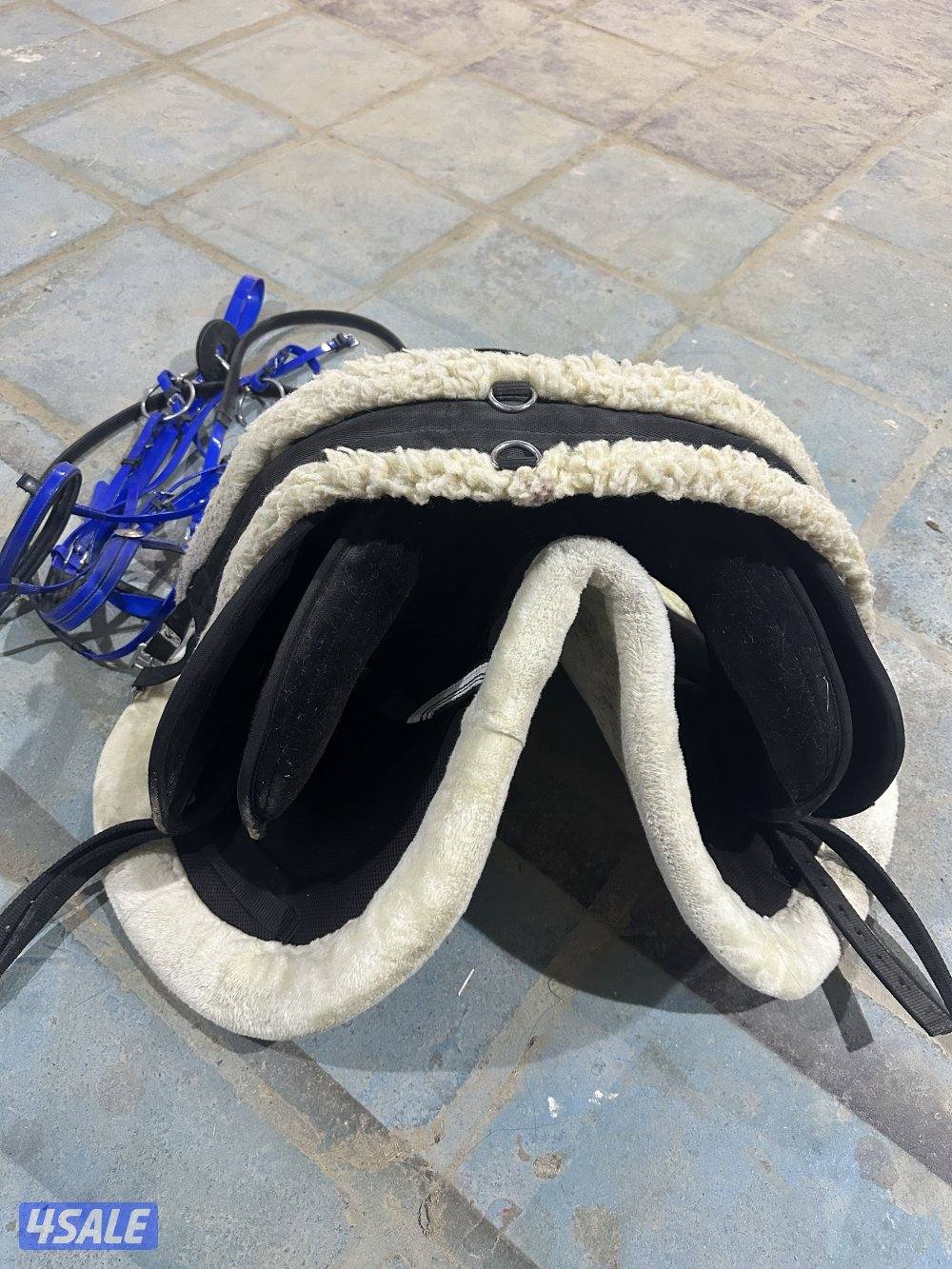 للبيع سرج ستيتس حجم 18 كامل مع اغراضه وسرج جديد1