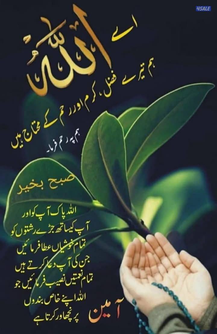 مطلوب سيده مرافقة0