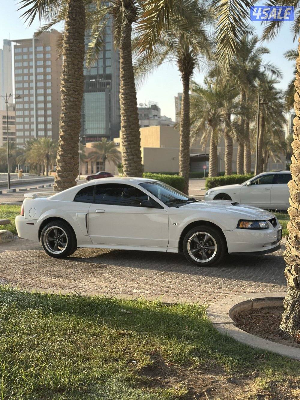 فورد موستنج 20031