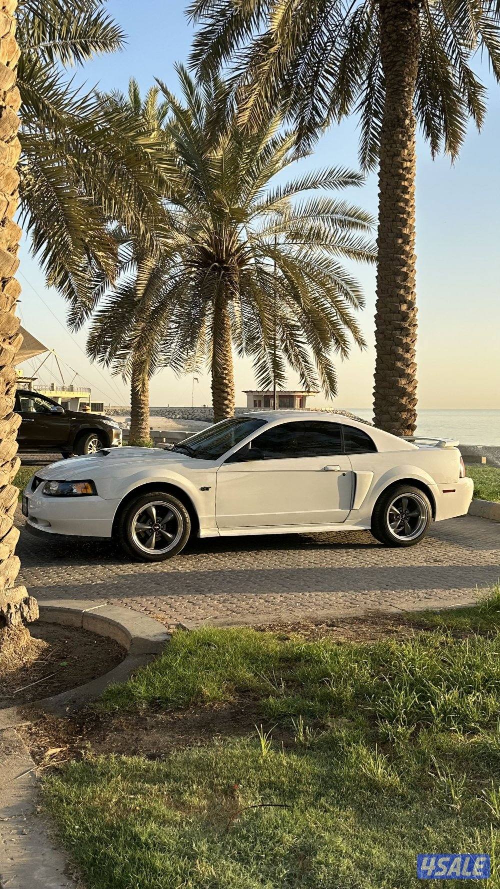 فورد موستنج 20034