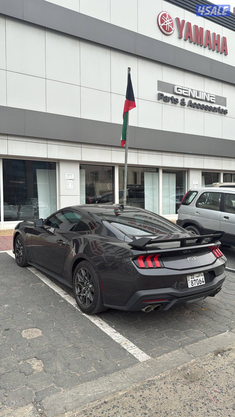 موستنق 2024 GT1