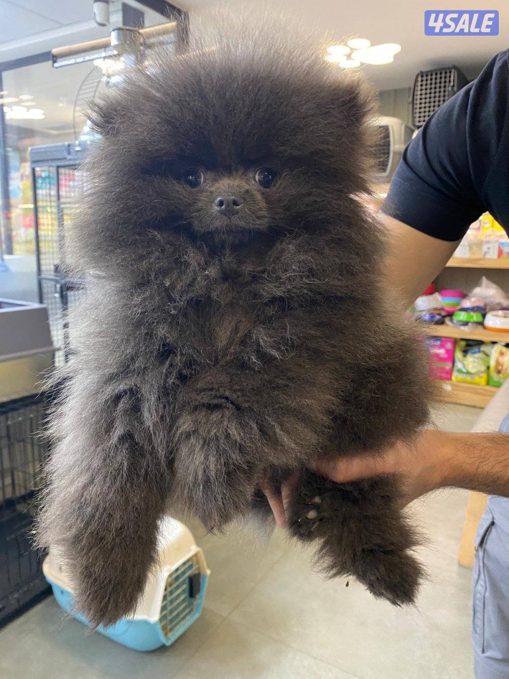 مستورد & imported0